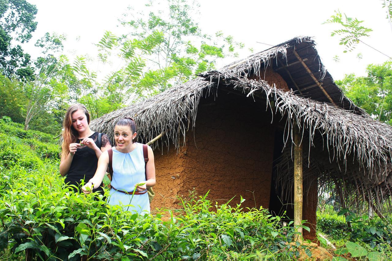 דניאיאה Bedda Eco Cottages מראה חיצוני תמונה