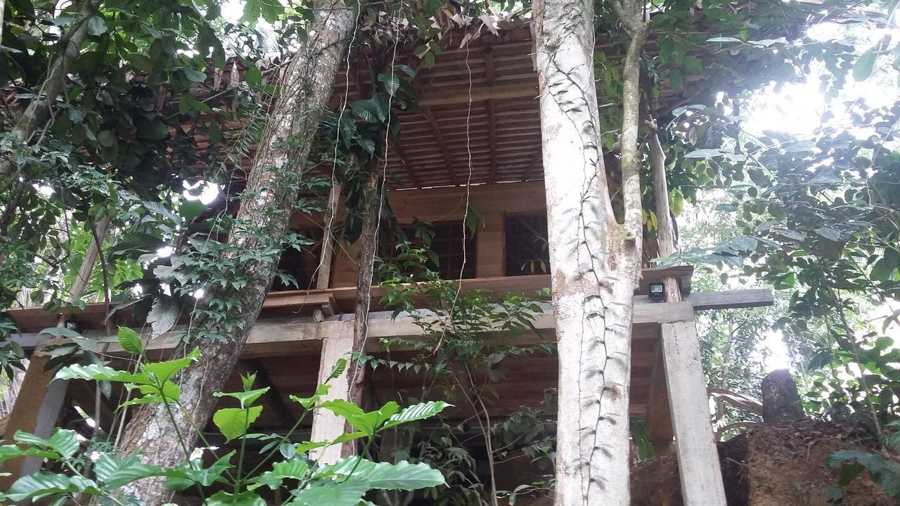 דניאיאה Bedda Eco Cottages מראה חיצוני תמונה