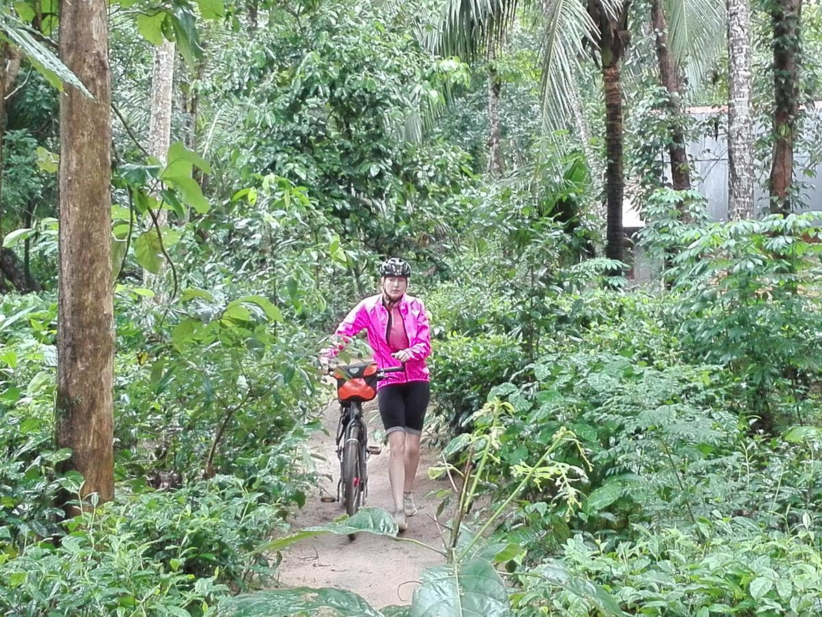 דניאיאה Bedda Eco Cottages מראה חיצוני תמונה