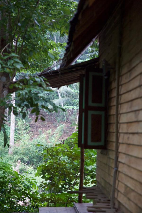 דניאיאה Bedda Eco Cottages מראה חיצוני תמונה