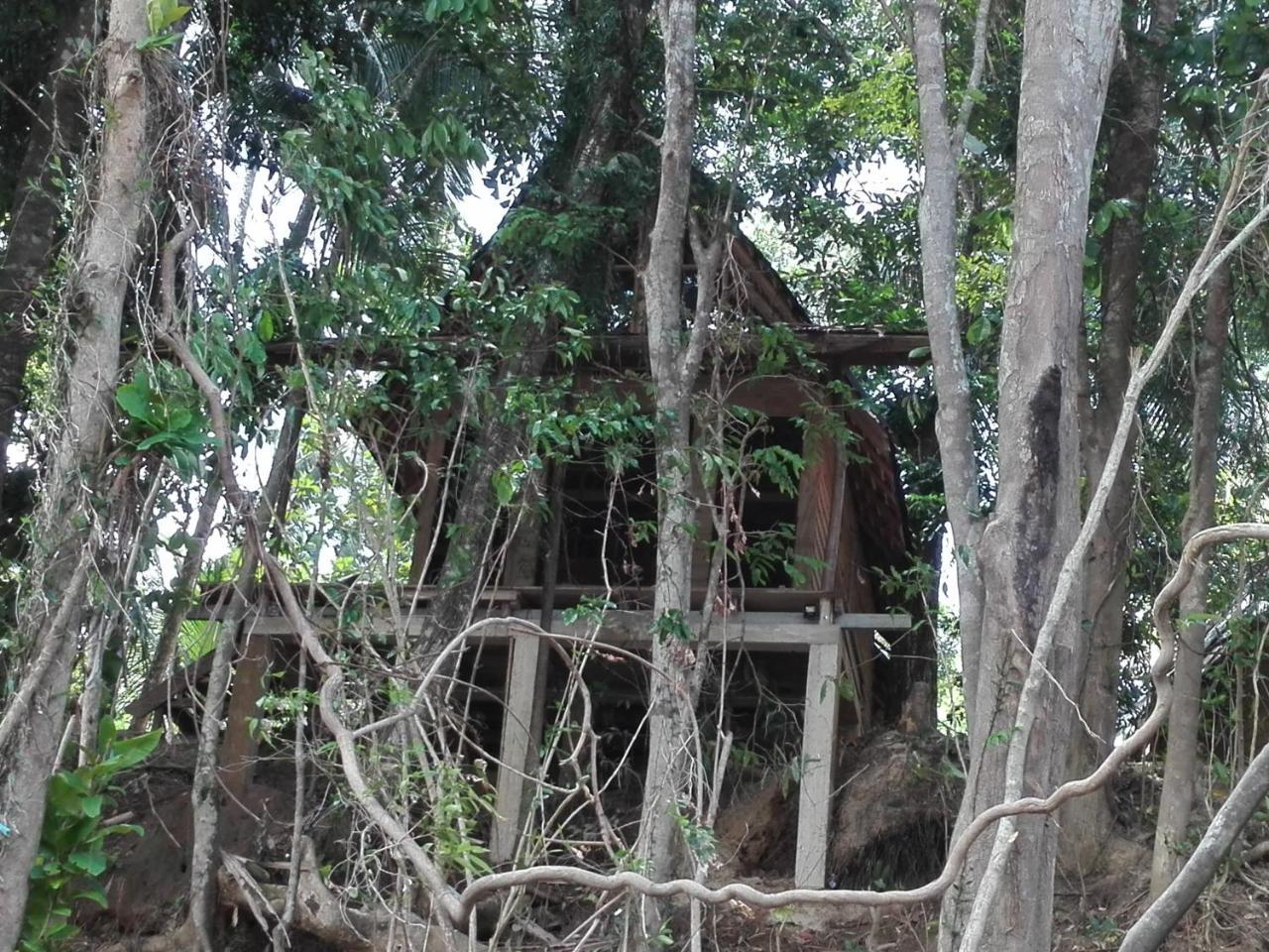 דניאיאה Bedda Eco Cottages מראה חיצוני תמונה